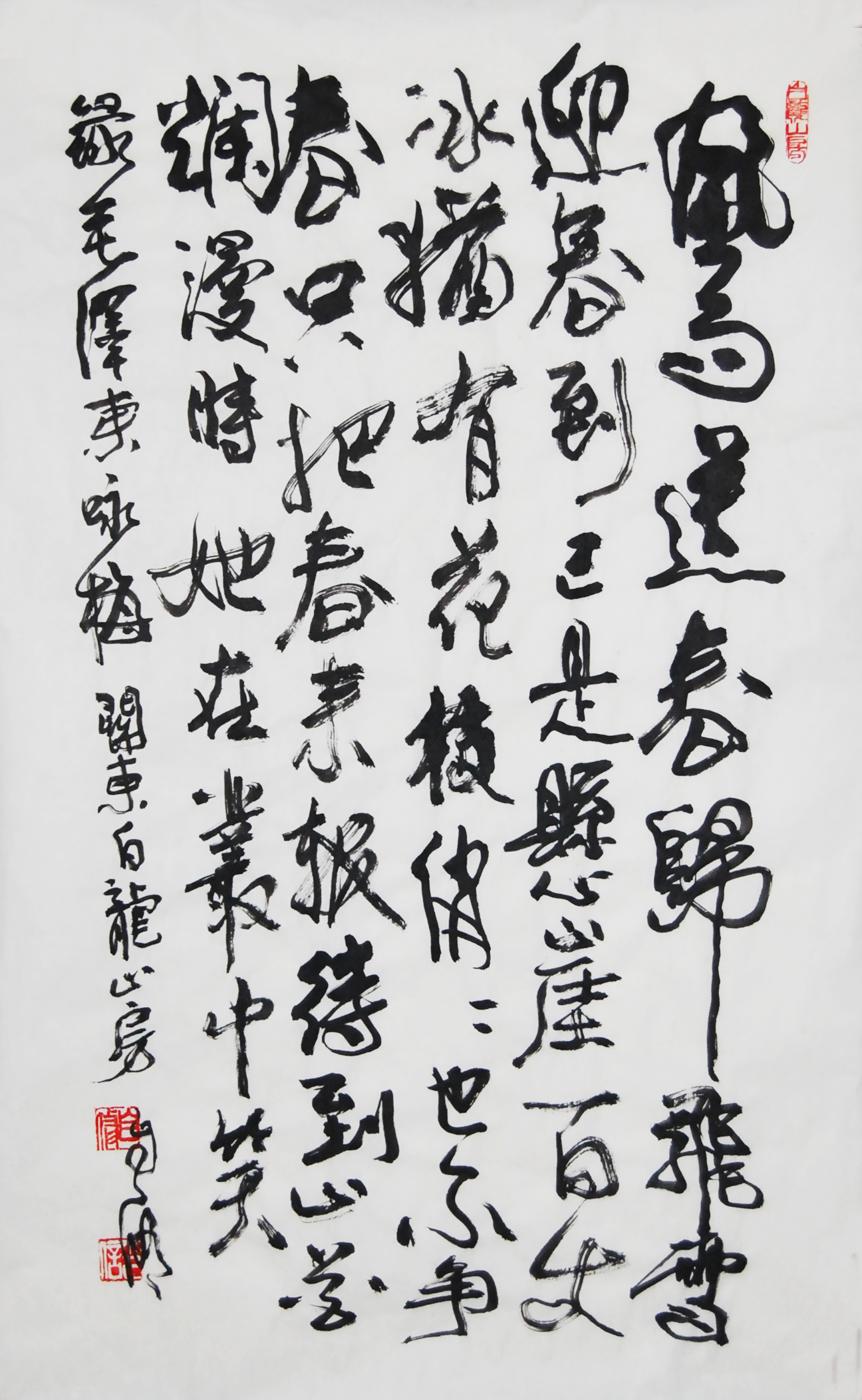 鷨