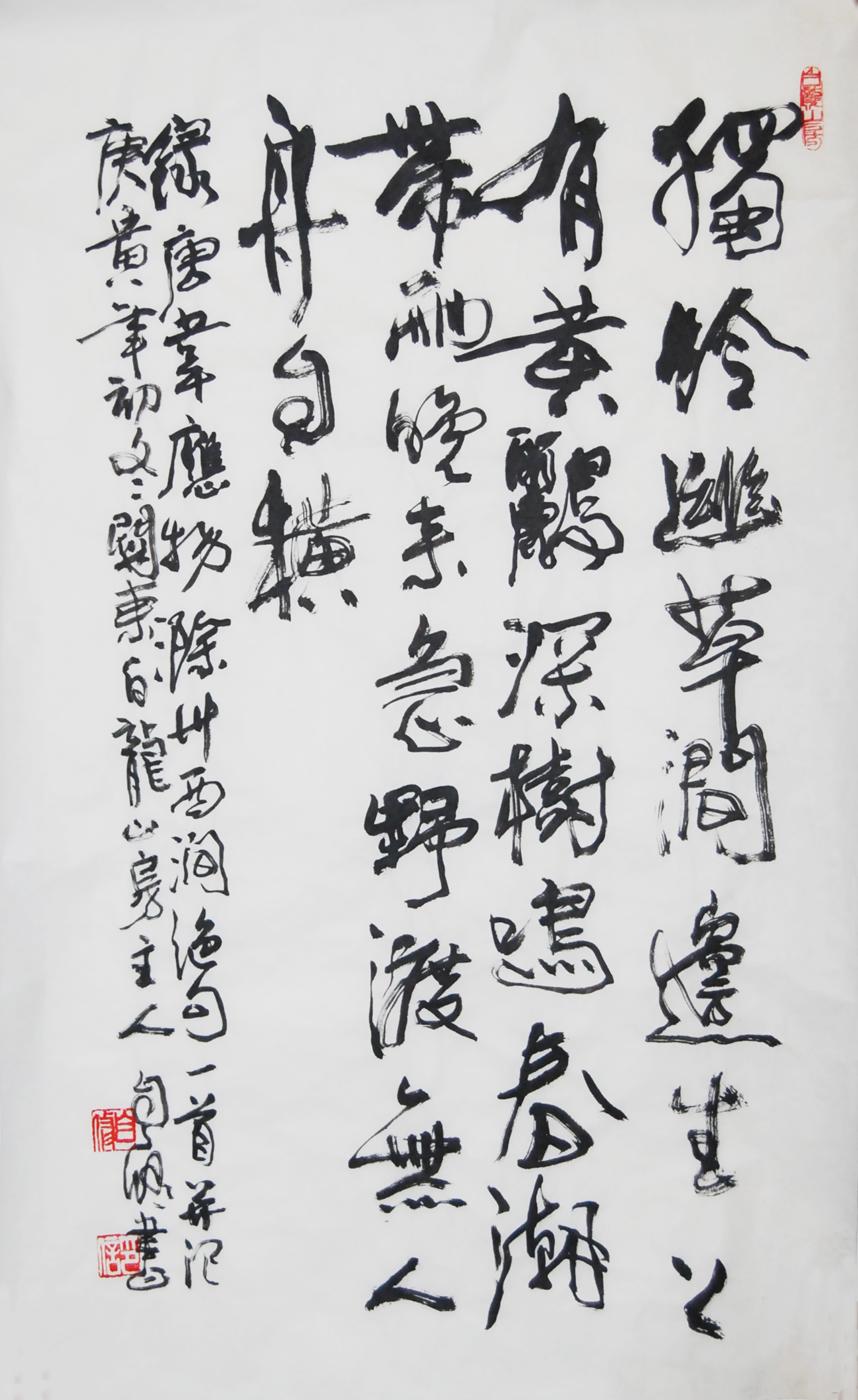 鷨