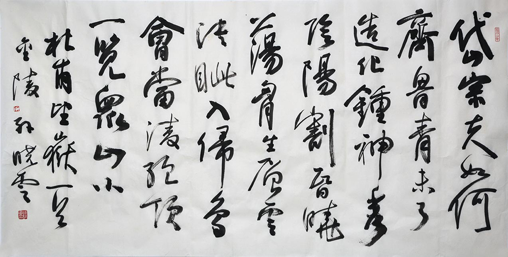 鷨