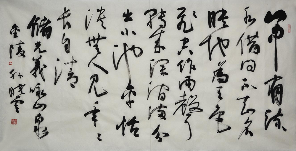 鷨