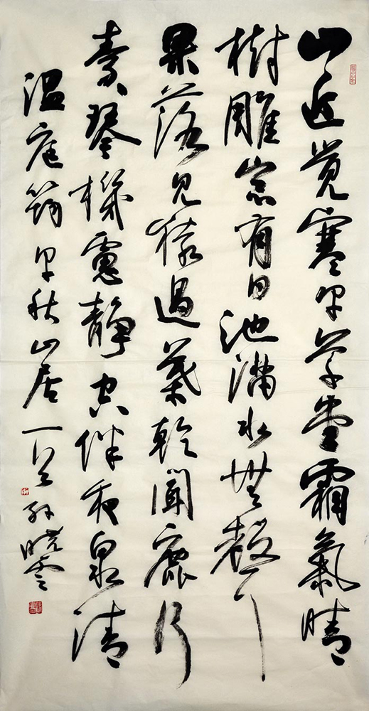 鷨